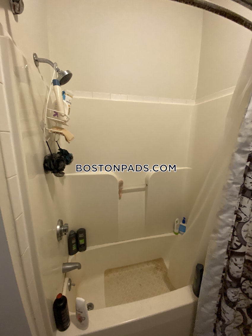 BOSTON - JAMAICA PLAIN - STONY BROOK - 3 Beds, 1 Bath - Image 29