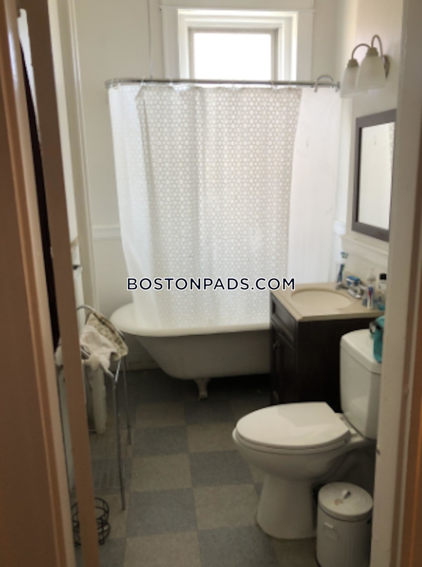 BOSTON - ALLSTON - 2 Beds, 1 Bath - Image 10