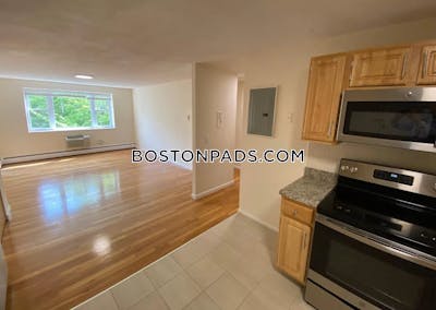 Brookline Apartment for rent 2 Bedrooms 1 Bath  Coolidge Corner - $3,600