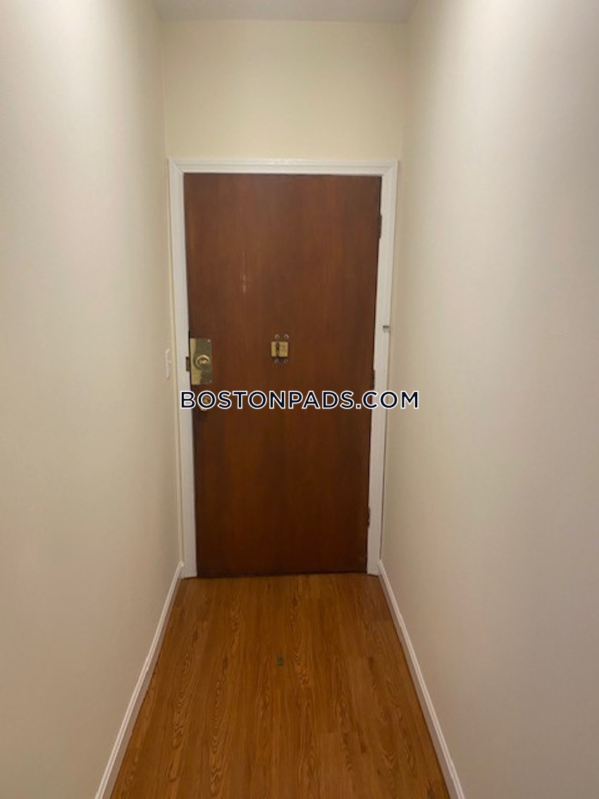 BOSTON - JAMAICA PLAIN - JAMAICA POND/PONDSIDE - 1 Bed, 1 Bath - Image 7