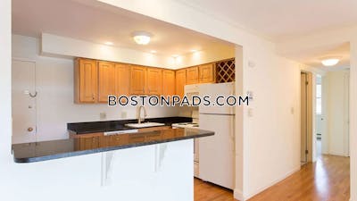 Newton Apartment for rent 1 Bedroom 1 Bath  Chestnut Hill - $3,000