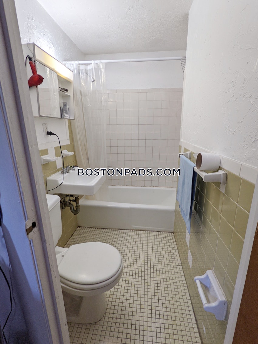 BOSTON - JAMAICA PLAIN - CENTER - Studio , 1 Bath - Image 6