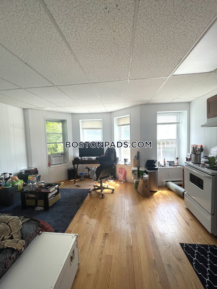 BOSTON - BRIGHTON - CLEVELAND CIRCLE - 1 Bed, 1 Bath - Image 14