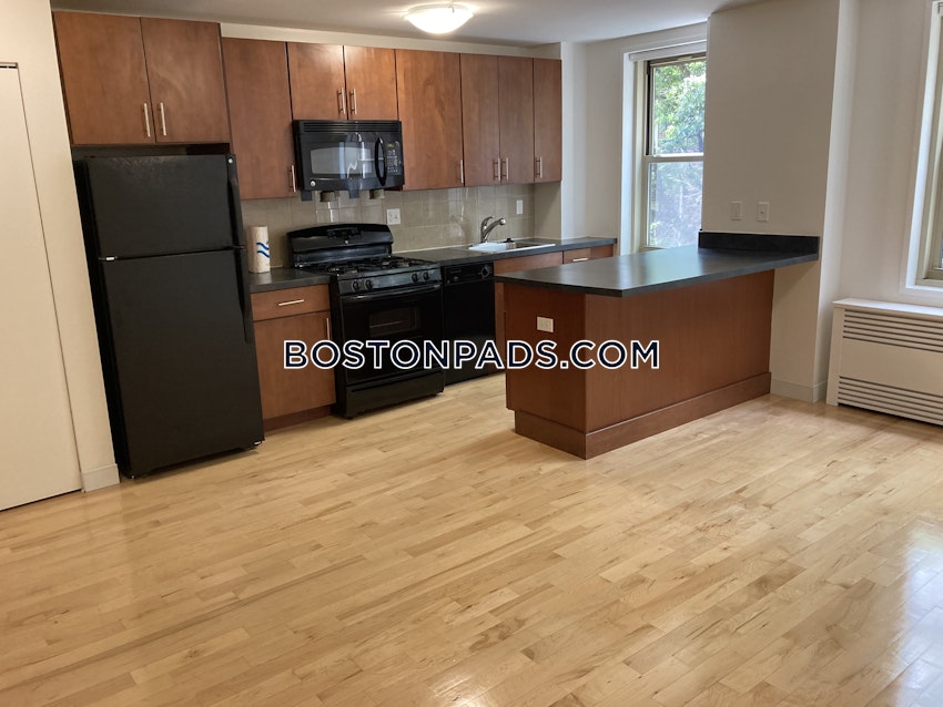 BOSTON - BRIGHTON- WASHINGTON ST./ ALLSTON ST. - 1 Bed, 1 Bath - Image 3