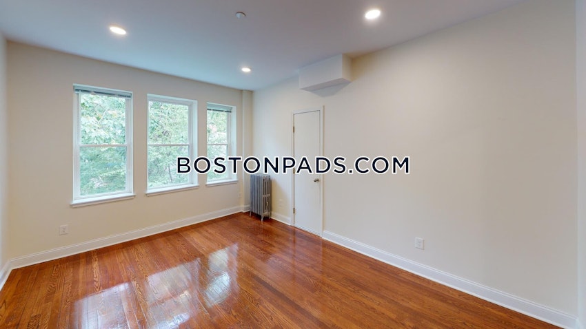 BOSTON - BRIGHTON - CLEVELAND CIRCLE - 1 Bed, 1 Bath - Image 9