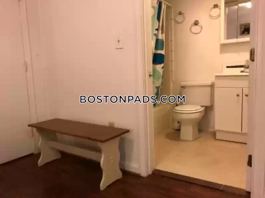 BOSTON - NORTHEASTERN/SYMPHONY - 1 Bed, 1 Bath - Image 20