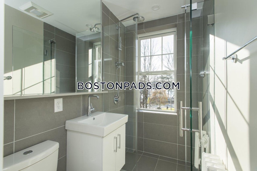 BOSTON - BRIGHTON - CLEVELAND CIRCLE - 1 Bed, 1 Bath - Image 7