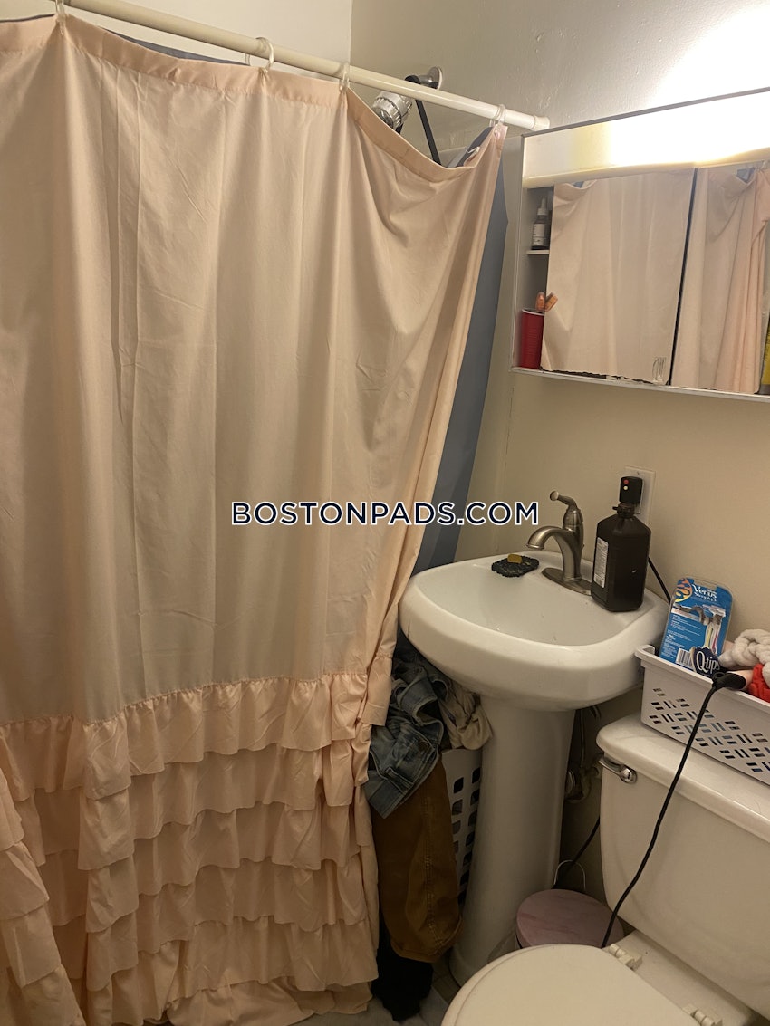 BOSTON - JAMAICA PLAIN - JAMAICA POND/PONDSIDE - 1 Bed, 1 Bath - Image 10