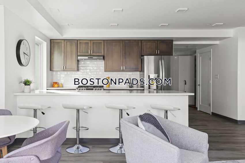 BOSTON - JAMAICA PLAIN - HYDE SQUARE - 2 Beds, 2 Baths - Image 7