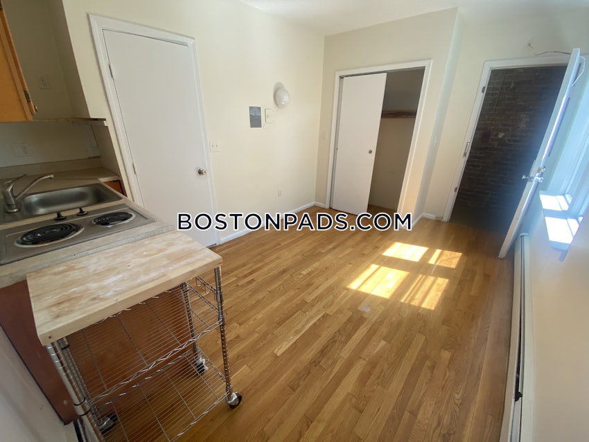 BOSTON - JAMAICA PLAIN - JAMAICA POND/PONDSIDE - Studio , 1 Bath - Image 5