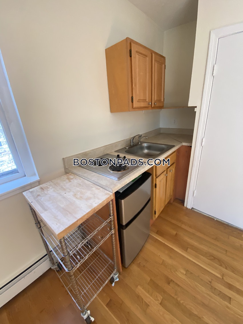 BOSTON - JAMAICA PLAIN - JAMAICA POND/PONDSIDE - Studio , 1 Bath - Image 1