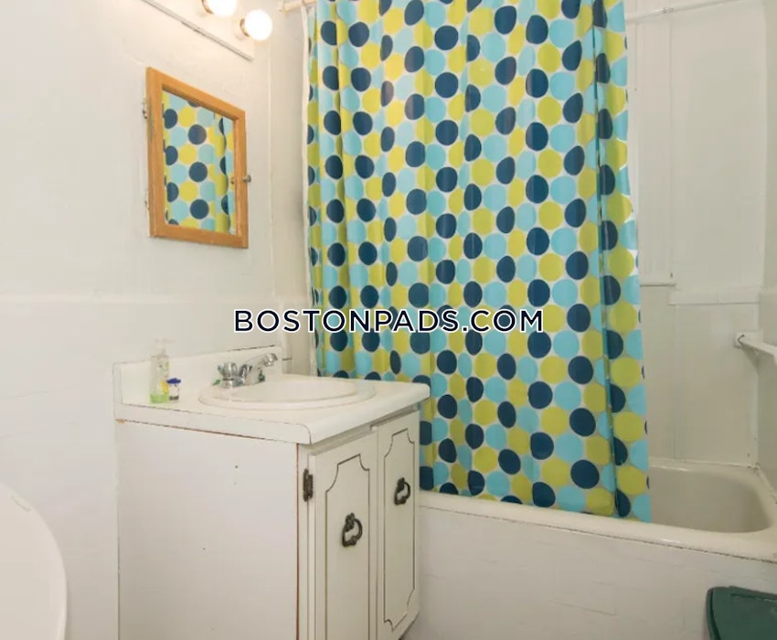 BOSTON - BRIGHTON- WASHINGTON ST./ ALLSTON ST. - 1 Bed, 1 Bath - Image 5