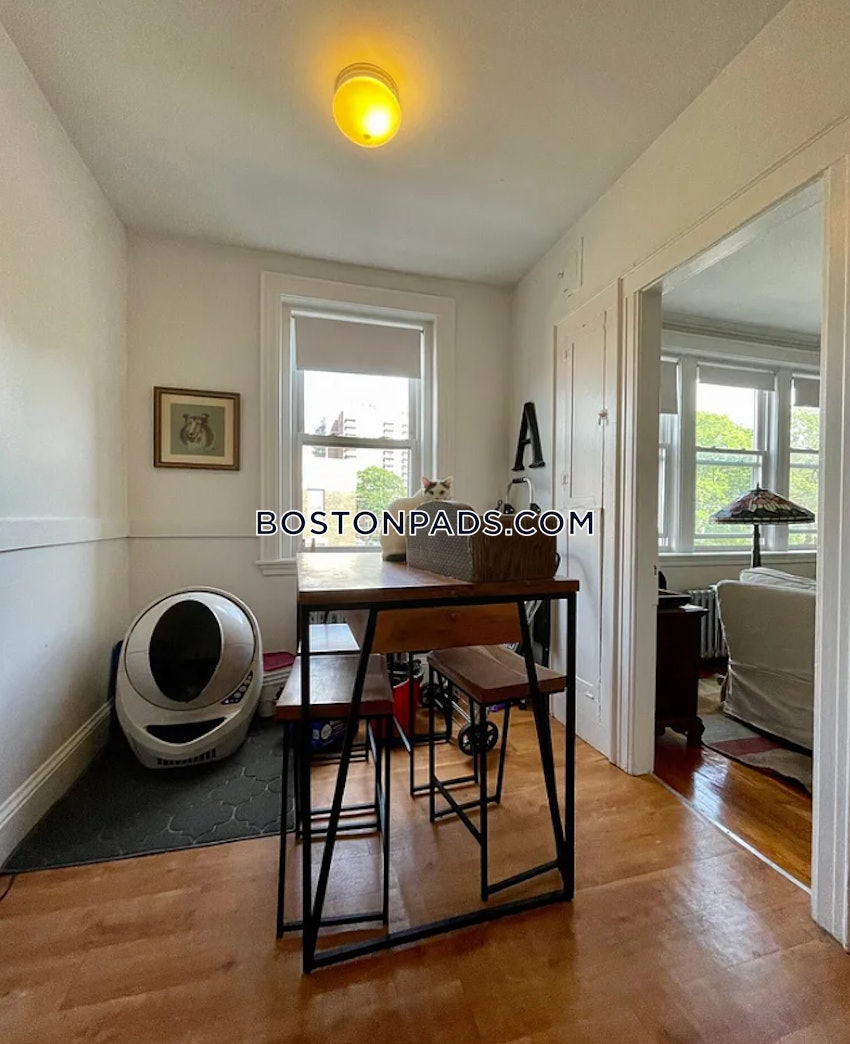 BOSTON - BRIGHTON - BOSTON COLLEGE - 1 Bed, 1 Bath - Image 7