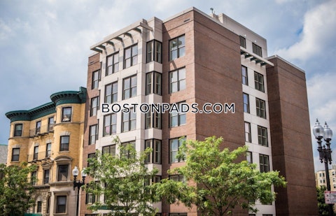 Boylston St. Boston photo 6