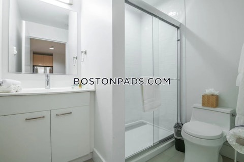 Boylston St. Boston photo 13