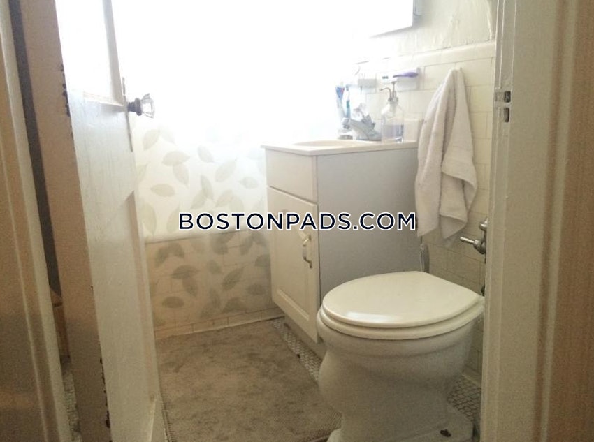 BOSTON - BRIGHTON - CLEVELAND CIRCLE - 1 Bed, 1 Bath - Image 6