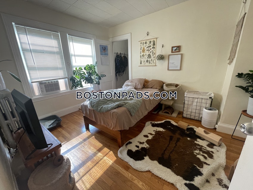 BOSTON - BRIGHTON - CLEVELAND CIRCLE - 4 Beds, 1 Bath - Image 6