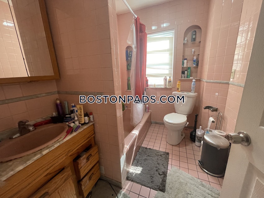 BOSTON - BRIGHTON - CLEVELAND CIRCLE - 4 Beds, 1 Bath - Image 121