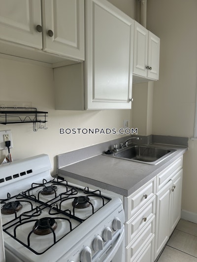 Allston Apartment for rent 1 Bedroom 1 Bath Boston - $2,400