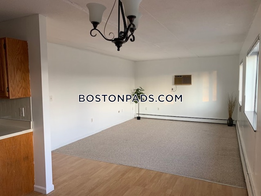 BOSTON - ALLSTON - 1 Bed, 1 Bath - Image 3