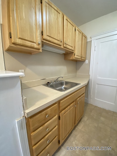 Brighton Apartment for rent 1 Bedroom 1 Bath Boston - $2,600