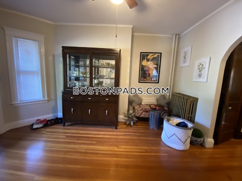 Walnut Ave. Boston photo 4