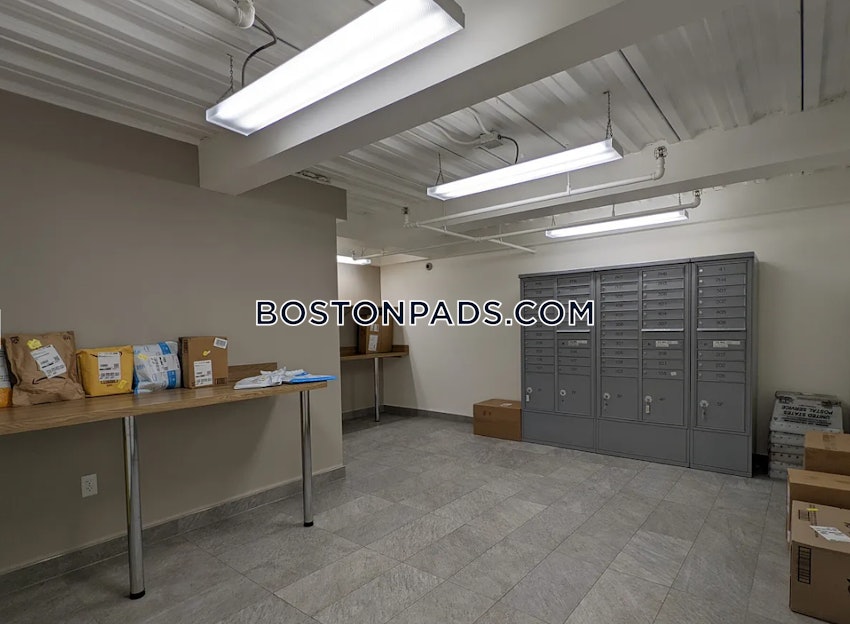 BOSTON - ALLSTON - 1 Bed, 2 Baths - Image 13