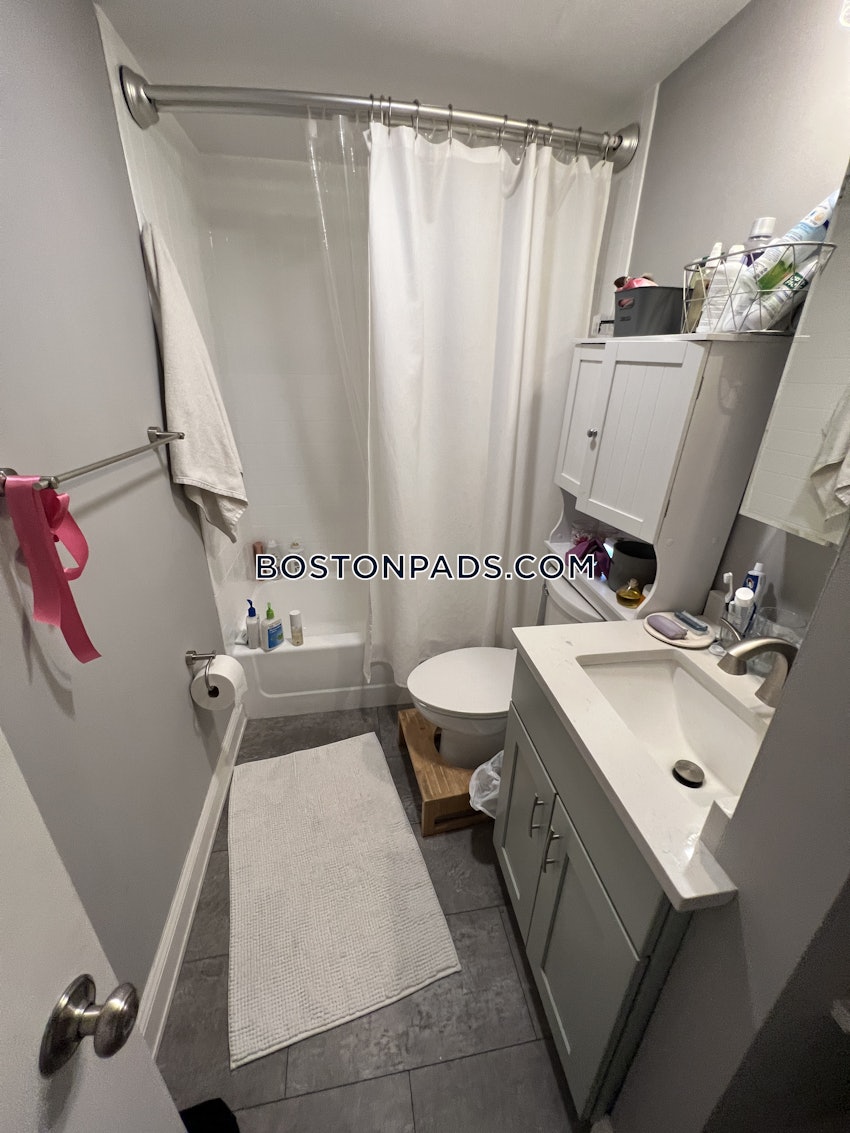 BOSTON - SOUTH BOSTON - WEST SIDE - 2 Beds, 2 Baths - Image 32