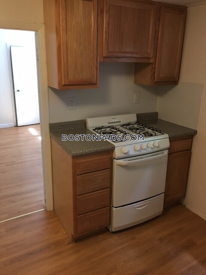 BOSTON - BRIGHTON - CLEVELAND CIRCLE - 1 Bed, 1 Bath - Image 3