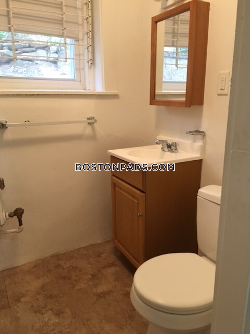 BOSTON - BRIGHTON - CLEVELAND CIRCLE - 1 Bed, 1 Bath - Image 6