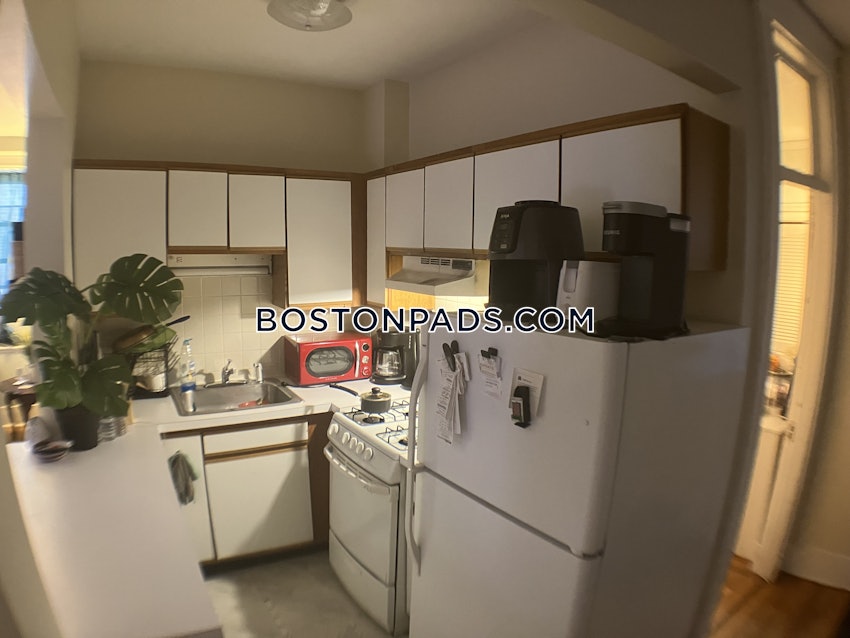 BOSTON - ALLSTON - 1 Bed, 1 Bath - Image 13