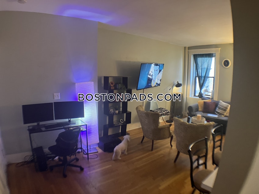 BOSTON - ALLSTON - 1 Bed, 1 Bath - Image 3