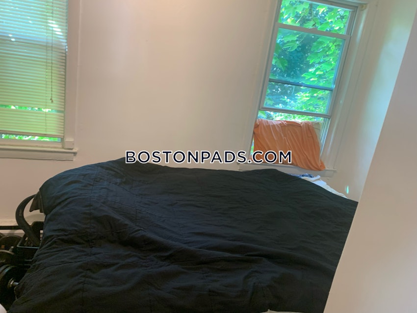 BOSTON - SOUTH BOSTON - ANDREW SQUARE - 1 Bed, 1 Bath - Image 2