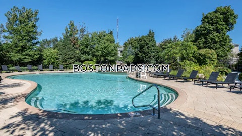 Ricciuti Dr. Quincy photo 6