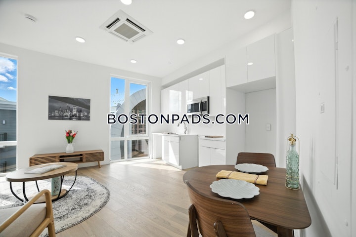 brighton-apartment-for-rent-1-bedrooms-1-bath-boston-3025-8016931 