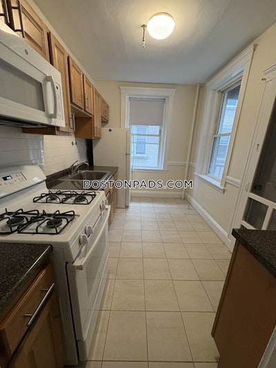 Brighton Apartment for rent 1 Bedroom 1 Bath Boston - $2,500 No Fee