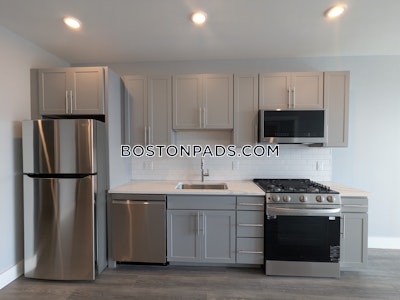Brighton Apartment for rent 1 Bedroom 1 Bath Boston - $3,300 No Fee