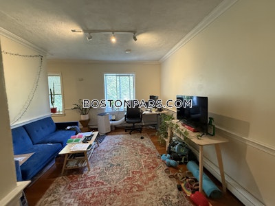 Mission Hill Apartment for rent 1 Bedroom 1 Bath Boston - $2,600 No Fee
