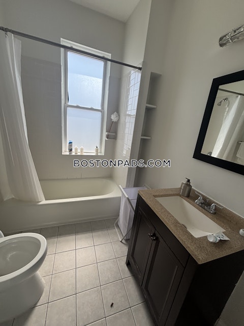 Commonwealth Ave. Boston photo 23