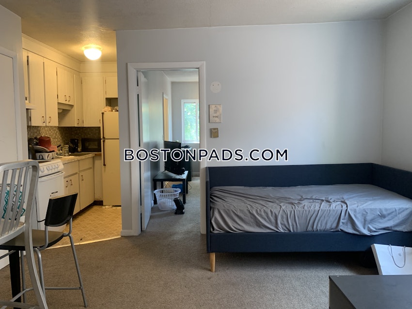 BOSTON - ALLSTON/BRIGHTON BORDER - 1 Bed, 1 Bath - Image 4