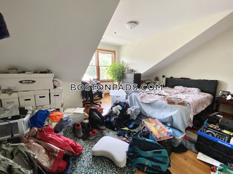 Allston St. Boston photo 17