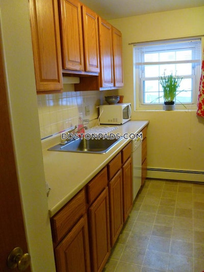 Arlington Apartment for rent 1 Bedroom 1 Bath - $2,050 No Fee