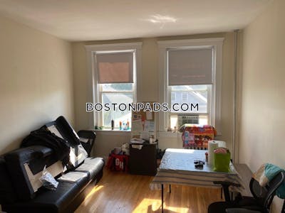 Brighton Apartment for rent 1 Bedroom 1 Bath Boston - $2,500 No Fee