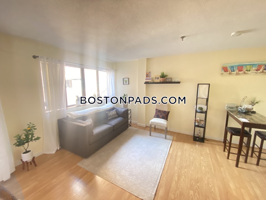 BOSTON - ALLSTON/BRIGHTON BORDER - 2 Beds, 2 Baths - Image 12