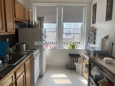 Brighton Apartment for rent 1 Bedroom 1 Bath Boston - $2,295 No Fee