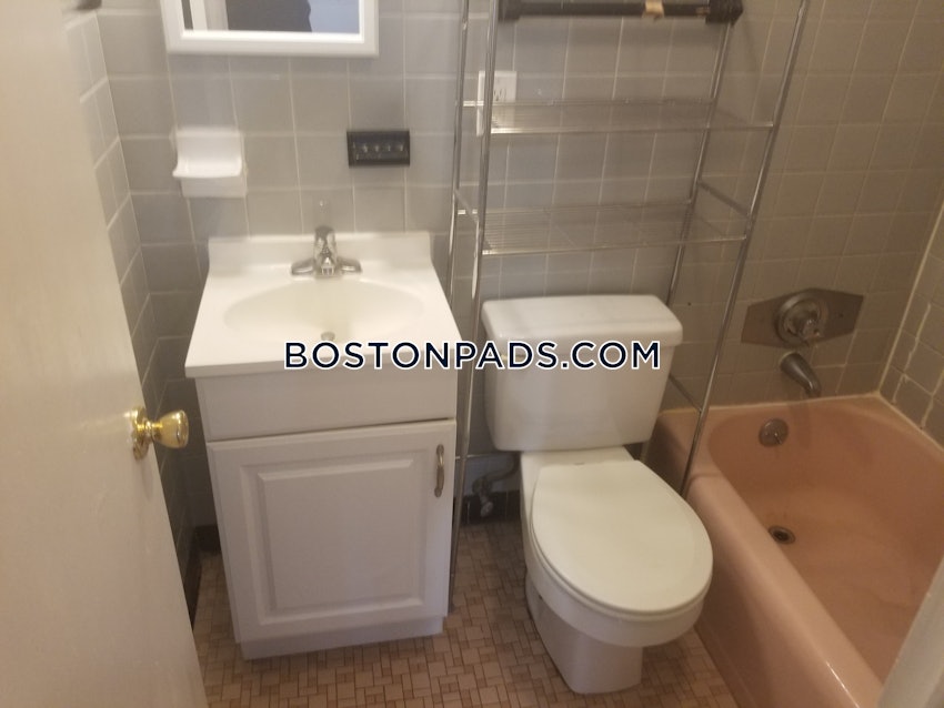 BOSTON - BRIGHTON - CLEVELAND CIRCLE - Studio , 1 Bath - Image 6