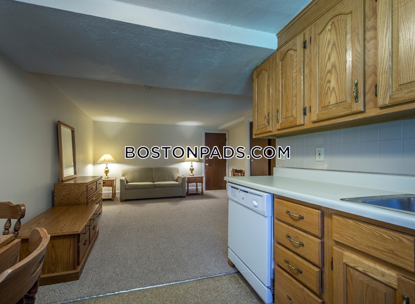 CAMBRIDGE - DAVIS SQUARE - Studio , 1 Bath - Image 1