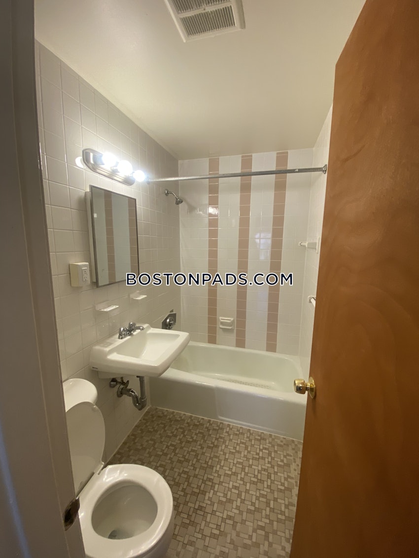 BOSTON - JAMAICA PLAIN - JAMAICA POND/PONDSIDE - Studio , 1 Bath - Image 3