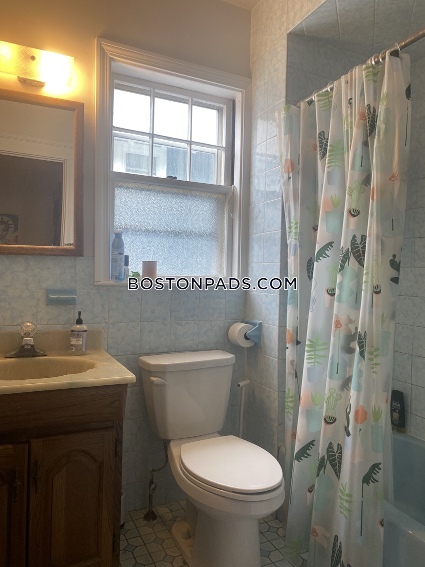 SOMERVILLE - TUFTS - 3 Beds, 1 Bath - Image 10