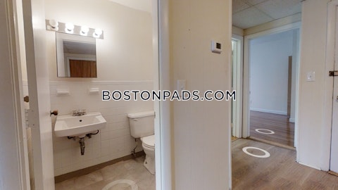 Commonwealth Ave. Boston photo 17